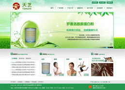 武漢天芝食品有限公司官網(wǎng)建設(shè)項(xiàng)目方案